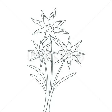 Flower Vector illustration Coloring page for kids book: Royalty Free ...