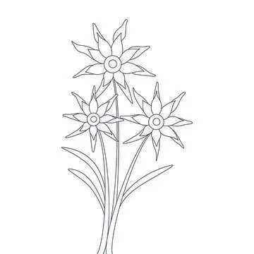Flower Vector illustration Coloring page for kids book Stock Illustration