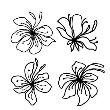 Flower vector one line art, minimalist contour hand drawing Stock Illustration