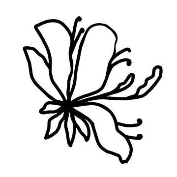 Flower vector one line art, minimalist contour hand drawing Stock Illustration