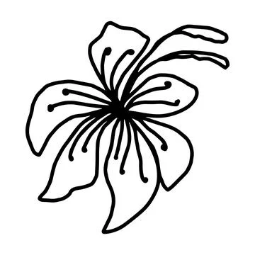 Flower vector one line art, minimalist contour hand drawing Stock Illustration