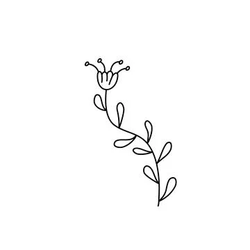 Flower vector simple botanical illustration, line artwork, minimal design 스톡 일러스트
