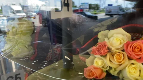 Flower Vending Machine Stock Footage 246297266