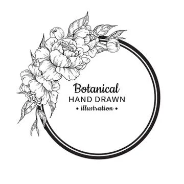 Flower vintage vector frame drawing. Peony, rose, leaves and ber Stock Illustration