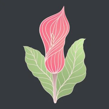 Flower vintage vector Stock Illustration