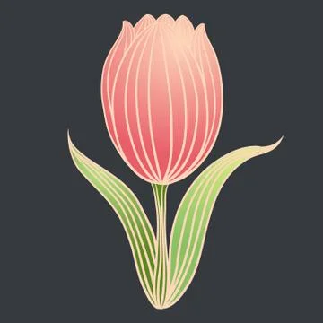 Flower vintage vector Stock Illustration