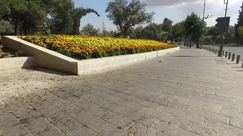 Flower Walk Stock Footage 78691986