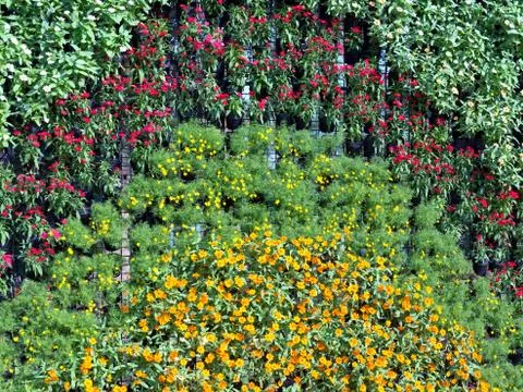 Flower wall background Stock Photos