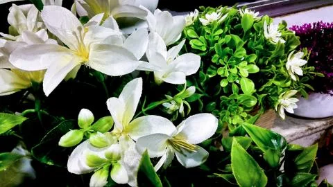 Flower wallpaper background Stock Photos