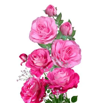 Flower wallpaper Stock Illustration