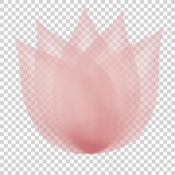 Flower watercolor  Stock Illustration
