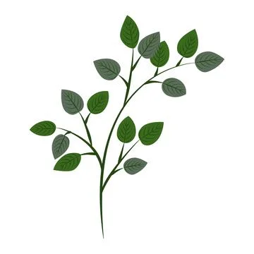 Flower on white background Elements are isolated on a white background. Des.. Stock Illustration