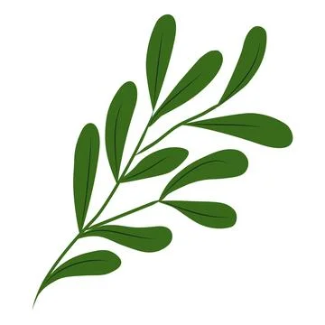 Flower on white background Elements are isolated on a white background. Des.. Stock Illustration