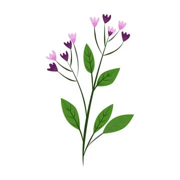Flower on white background Elements are isolated on a white background. Des.. Stock Illustration