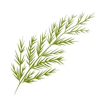 Flower on white background Elements are isolated on a white background. Desig Stock Illustration