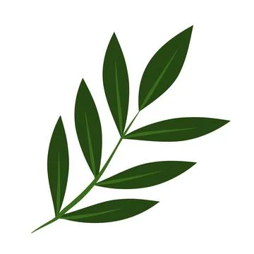 Flower on white background Elements are isolated on a white background. Desig Stock Illustration