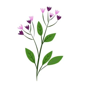 Flower on white background Elements are isolated on a white background. Des.. Stock Illustration