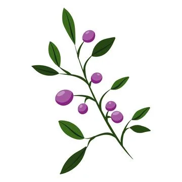 Flower on white background Elements are isolated on a white background. Desig Stock Illustration