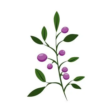 Flower on white background Elements are isolated on a white background. Des.. Stock Illustration