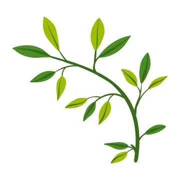 Flower on white background Elements are isolated on a white background. Desig Stock Illustration