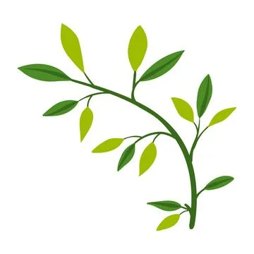 Flower on white background Elements are isolated on a white background. Des.. Stock Illustration
