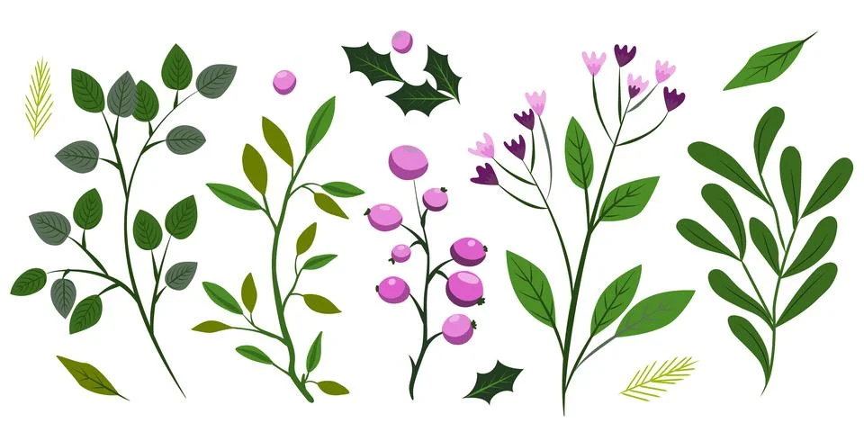 Flower on white background Elements are isolated on a white background. Des.. Stock Illustration