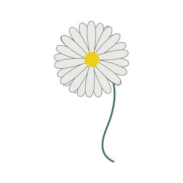 Flower on white Stock Illustration