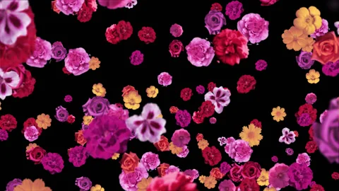 Flower wind Видео 91383765