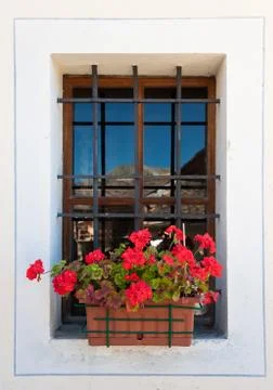 Flower window box Stock Photos