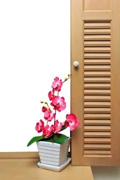 Flower &amp; window Stock Photos