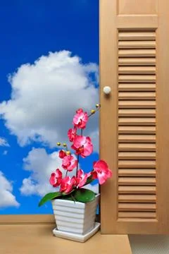 Flower &amp; window Stock Photos