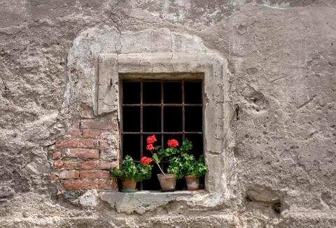 Flower window Stock Photos