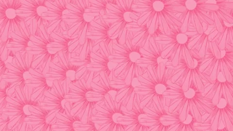 Flower wipe transition petal bloom summer animation With alpha channel. Stock Footage 308528113