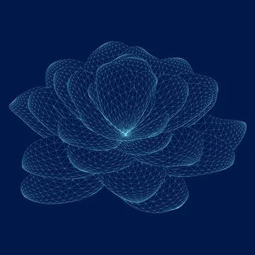 Flower wireframe art isolated vector illustration Stock Illustration