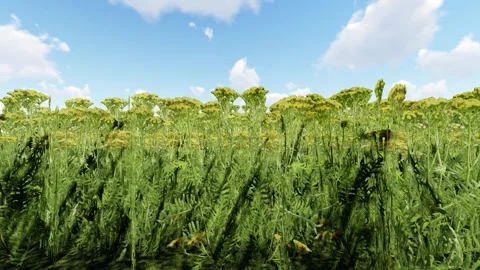 Flower Yallow and trees Stock-Footage 340452265