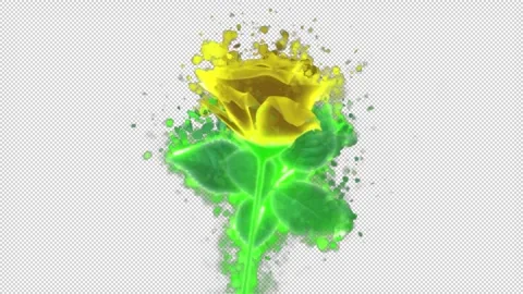 Flower yellow 02 Stock Footage 262140655