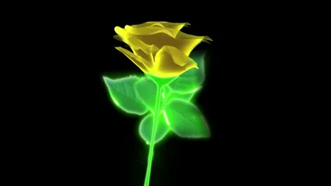 Flower yellow Stock Footage 262136420
