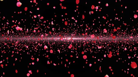 Flower005 floating red petal Stock Footage 48009240