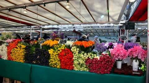 Flower0643 Video stock 10876383