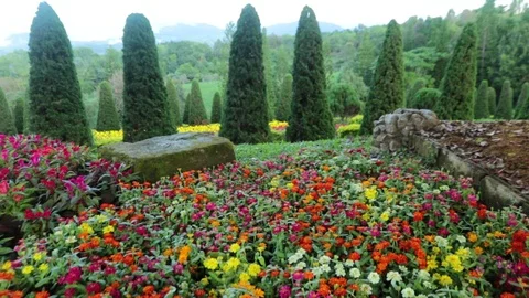 Flower2 Stock Footage 86787201