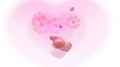 Flower3 Stock Footage 610799