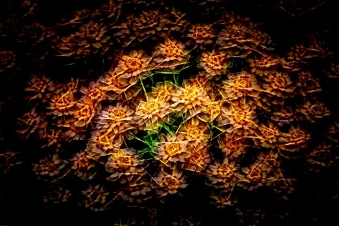 Flowerbed background texture glow Foto stock