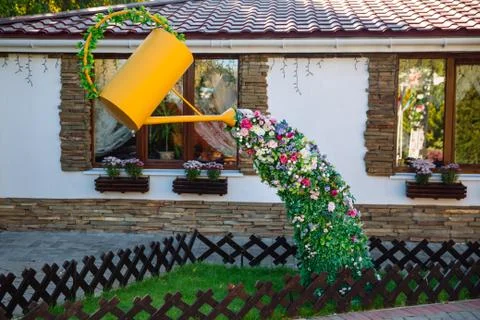 Flowerbed of flowers. Stock Photos