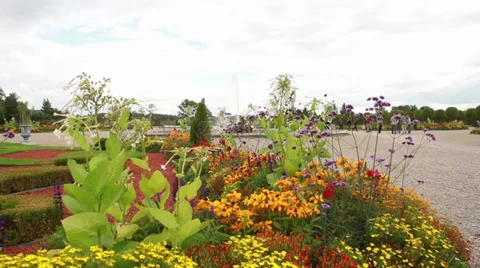 Flowerbed in the park Stock Footage 28840167