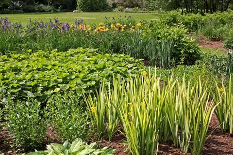 Flowerbed in the park Stock Photos