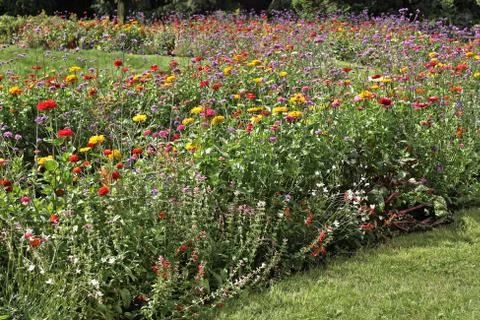 Flowerbed in the park Stock Photos