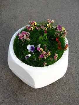 Flowerbed Stock Photos