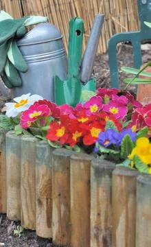 Flowerbed Stock-Fotos