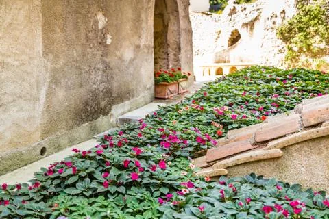 Flowerbed Foto stock