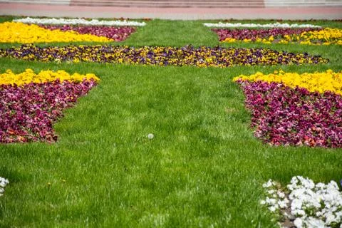 Flowerbed Stock Photos